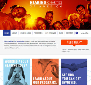 Next<span>Hearing Charities of America Website</span><i>→</i>